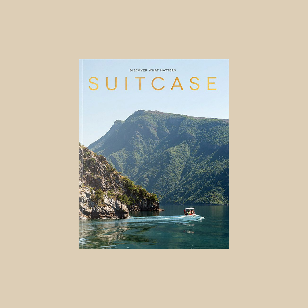 Suitcase #34